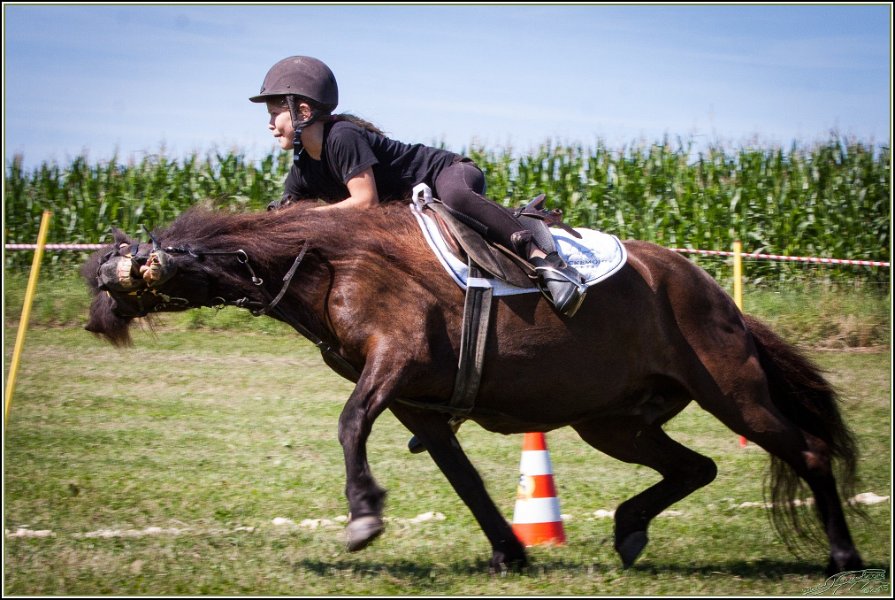 Mounted Games 072
